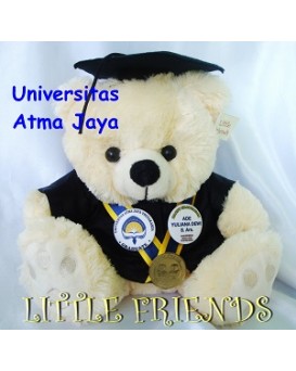 Boneka Wisuda Universitas Atma Jaya Yogyakarta (30 cm)